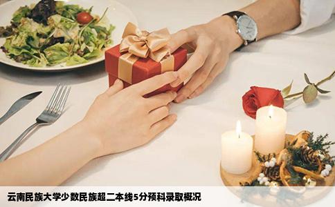 云南民族大學少數(shù)民族超二本線5分預科錄取概況