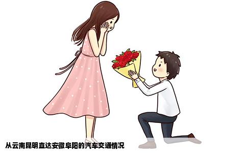 從云南昆明直達安徽阜陽的汽車交通情況