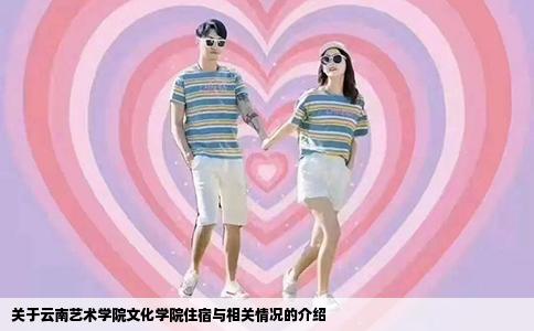 關(guān)于云南藝術(shù)學院文化學院住宿與相關(guān)情況的介紹