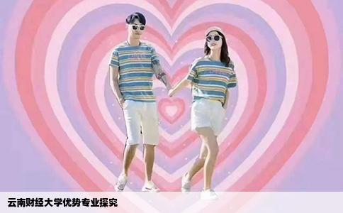 云南財(cái)經(jīng)大學(xué)優(yōu)勢(shì)專(zhuān)業(yè)探究