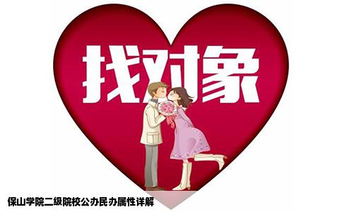 保山學(xué)院二級(jí)院校公辦民辦屬性詳解