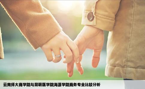 云南師大商學(xué)院與昆明醫(yī)學(xué)院海源學(xué)院商務(wù)專業(yè)比較分析