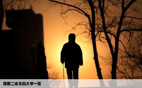 昆明二本文科大學一覽