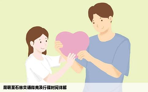 昆明至石林交通指南及行程時間詳解